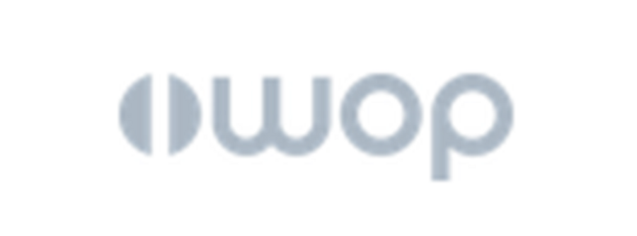  Institut für Wirtschaft und Organisationale Prozesse - Uni Wuppertal